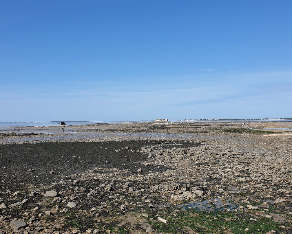 Le Port du Loiron景点图片