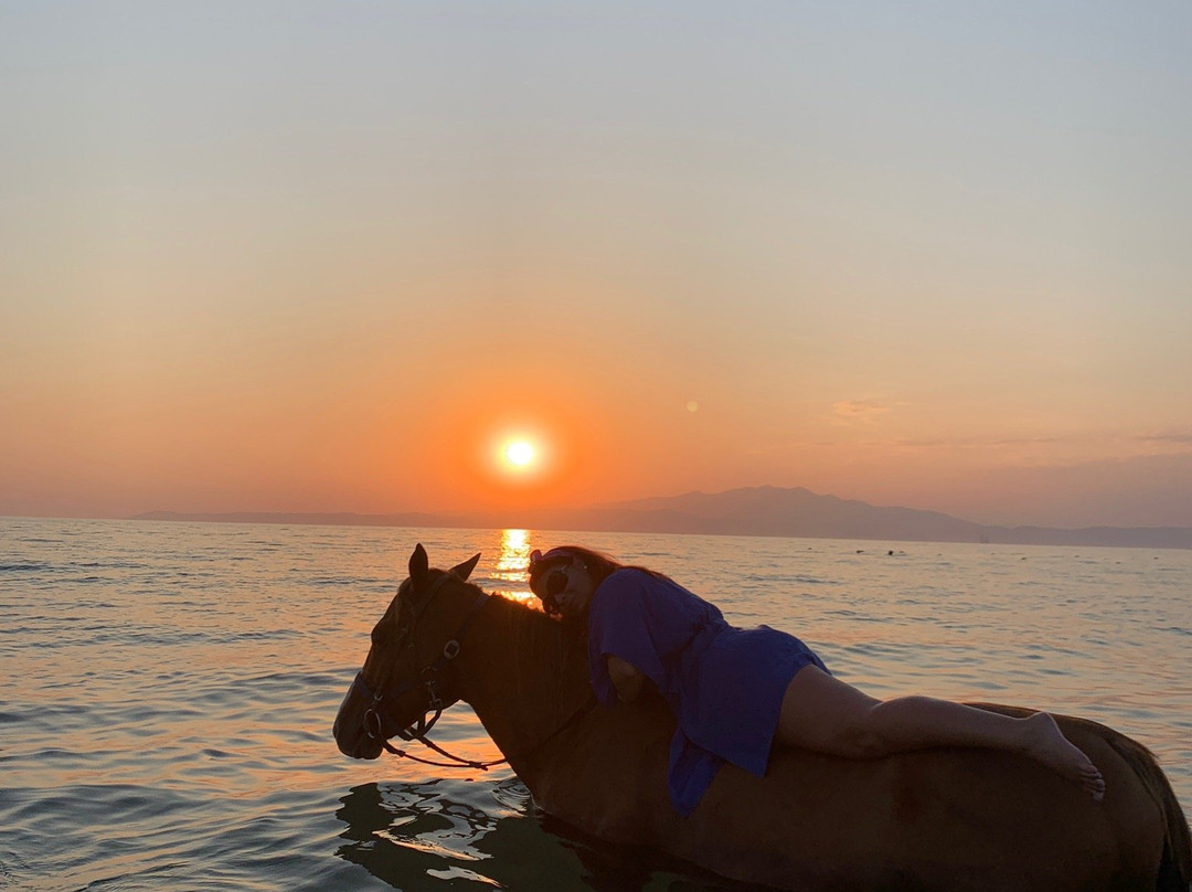 Thassos Horse Club景点图片