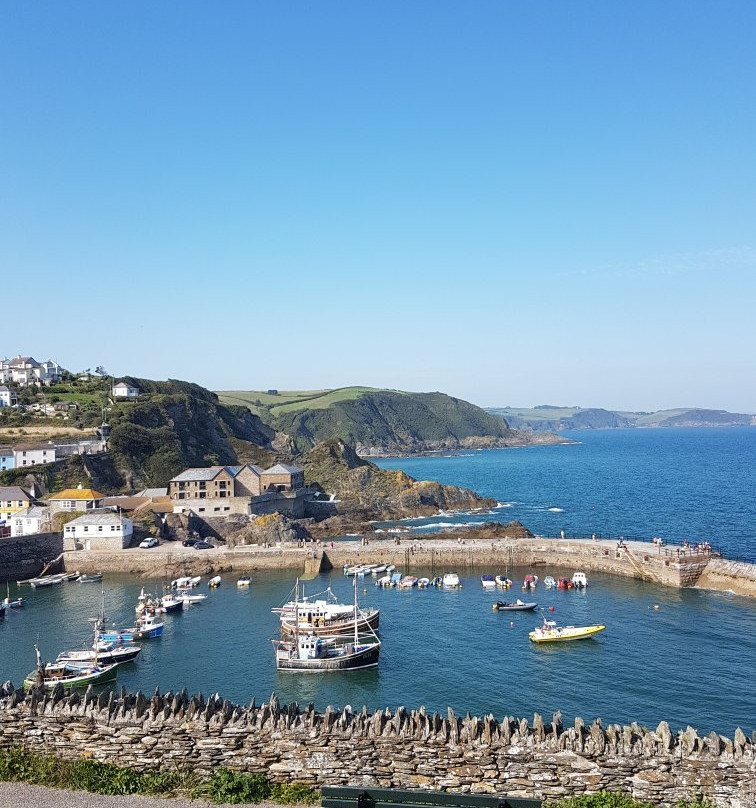 Bacchus, Rooms with a View主图