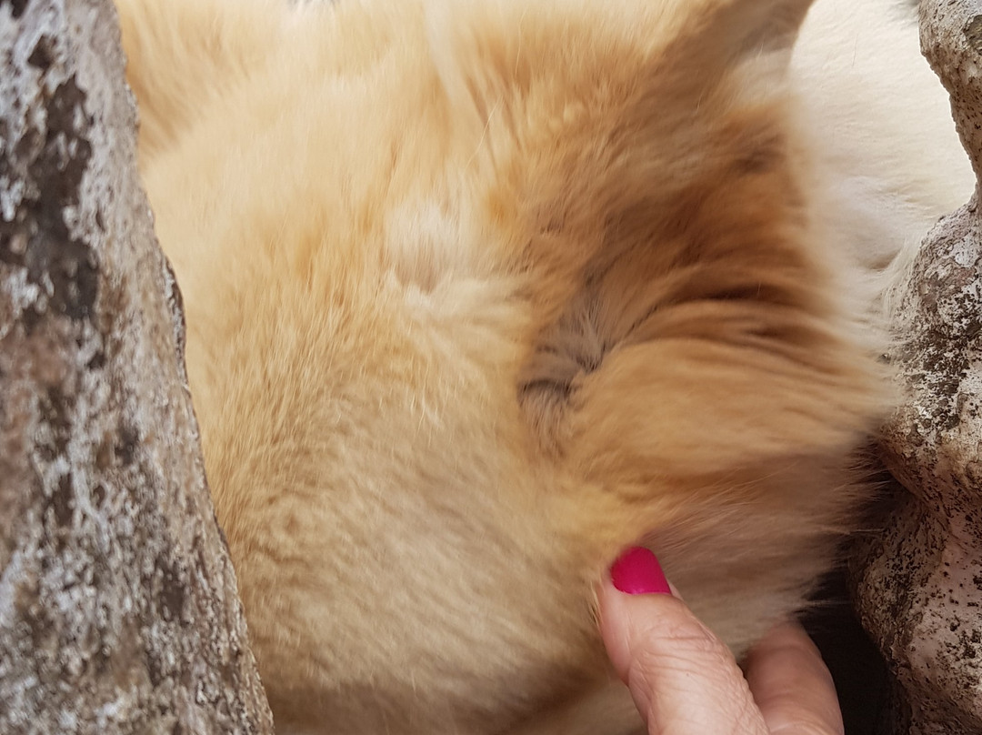 Minas de Chico Rei-欧鲁普雷图必去景点