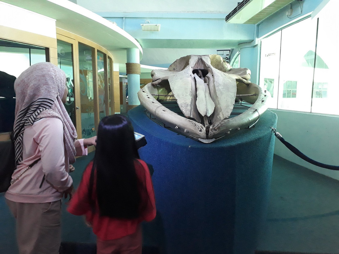 Labuan Marine Museum-纳闽必去景点