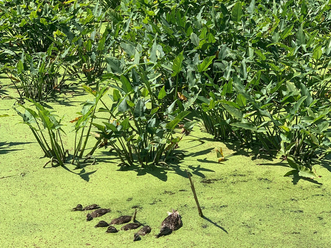 Galien River County Park-New Buffalo必去景点