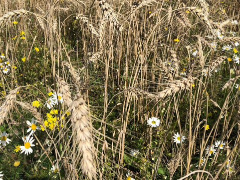 Holy Irinarkhov Spring-Krasnovo必去景点