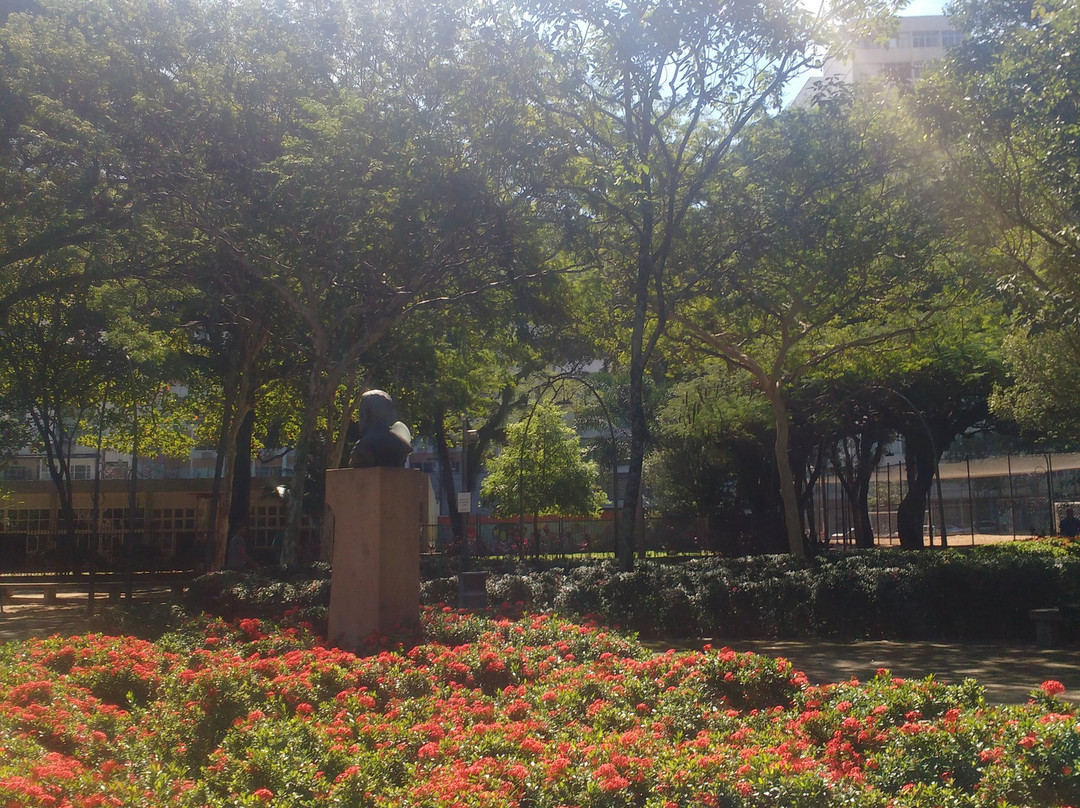 Moscoso Park景点图片