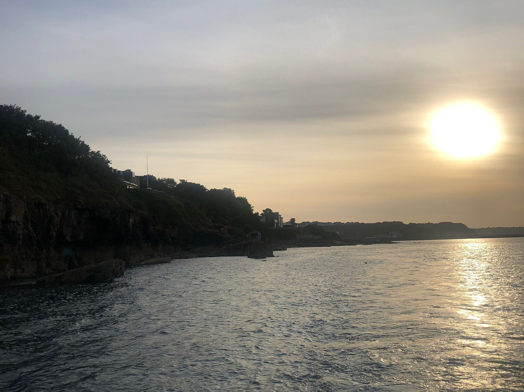 We Ferry景点图片