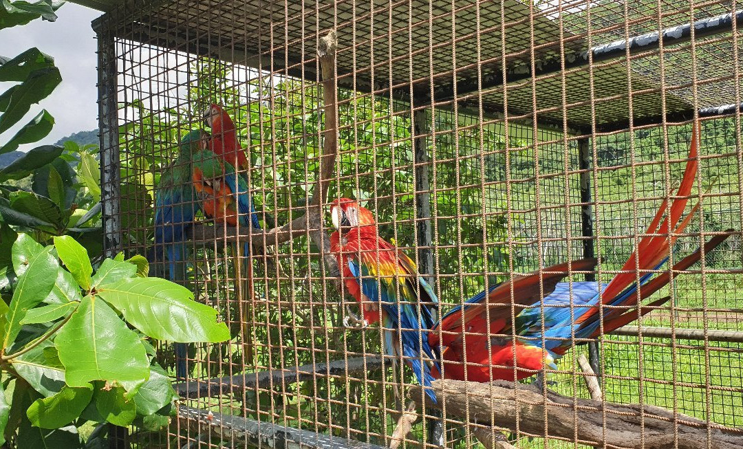 Safari Eco Park-Chaguaramas必去景点