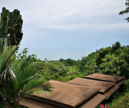 蒂基雨林别墅暨温泉旅馆主图