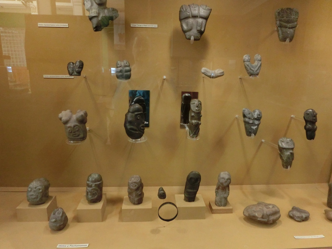 Museo Arqueologico de la Universidad景点图片