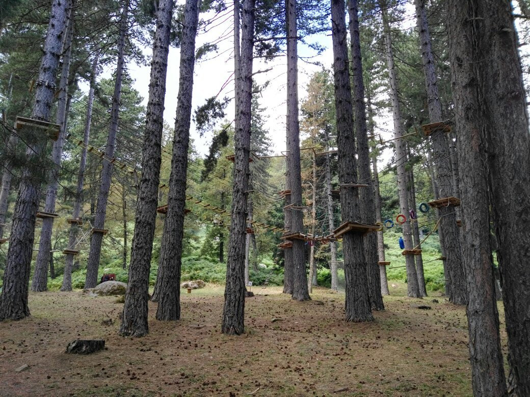 Parco Avventura Principe-Petilia Policastro必去景点