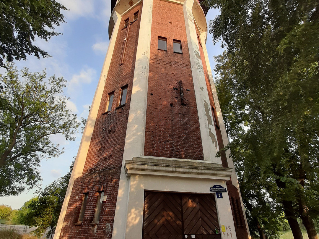 Water Tower Palmnikena景点图片