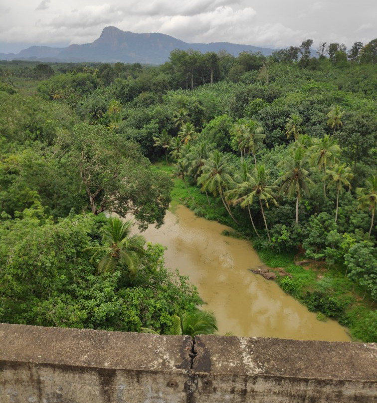 Mathur Hanging Trough Bridge景点图片