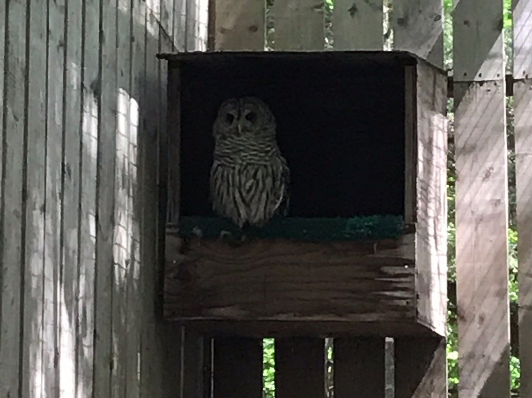 Chouette a voir!-Saint-Jude必去景点