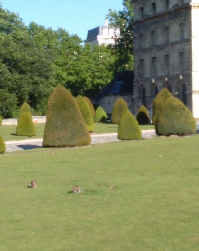 Esplanade des Invalides-巴黎必去景点