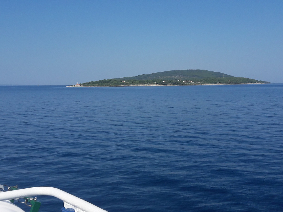 Ferry to Sucuraj景点图片