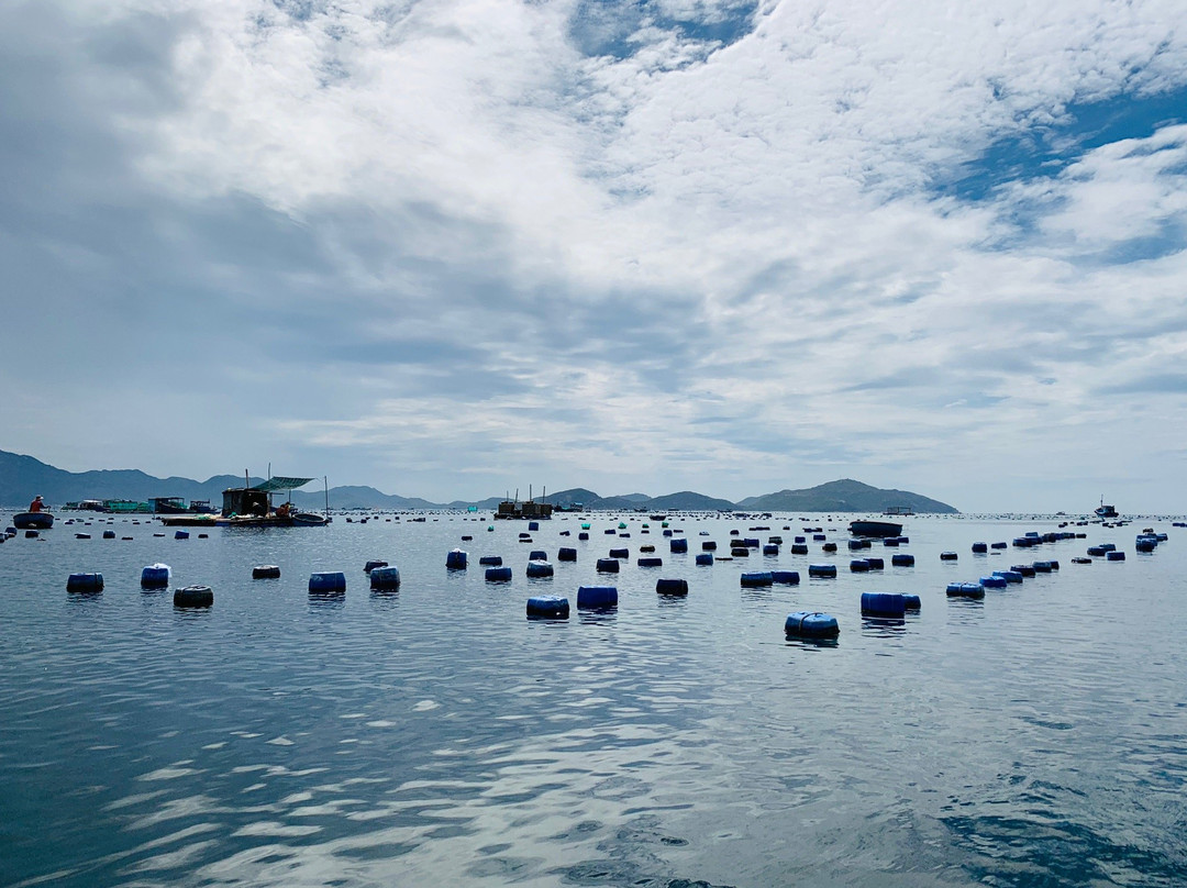 Binh Hung Island-Cam Ranh必去景点