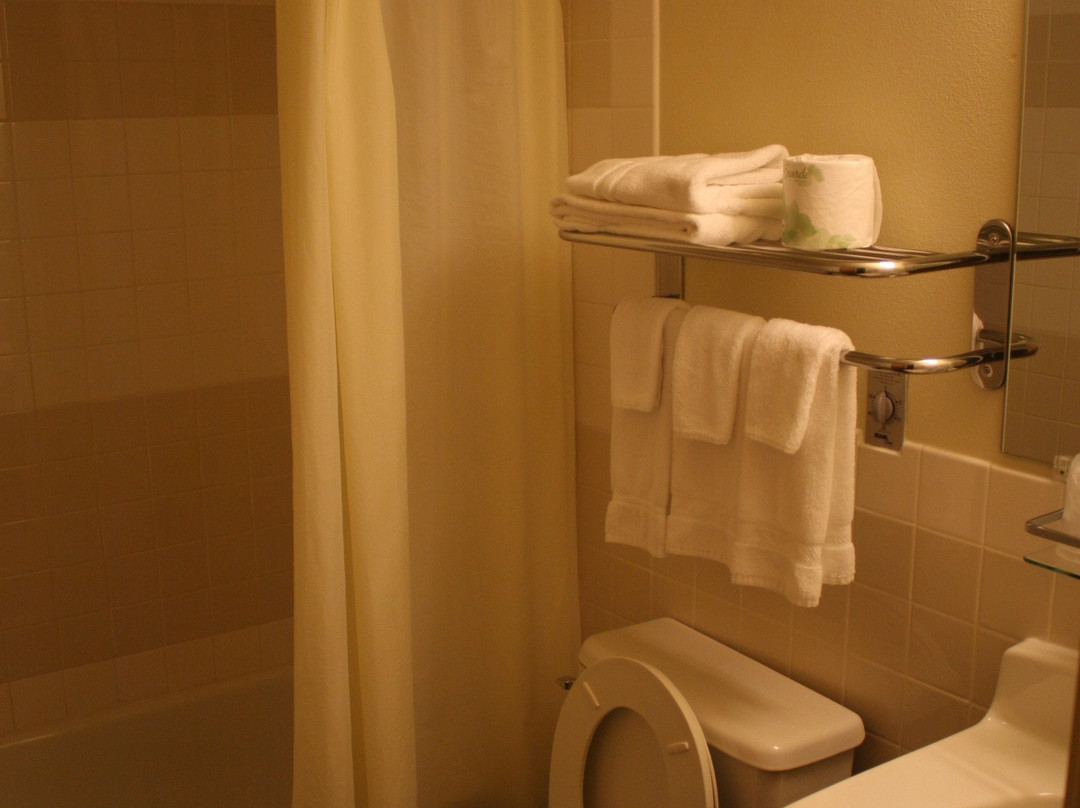 Shelikof Lodge主图