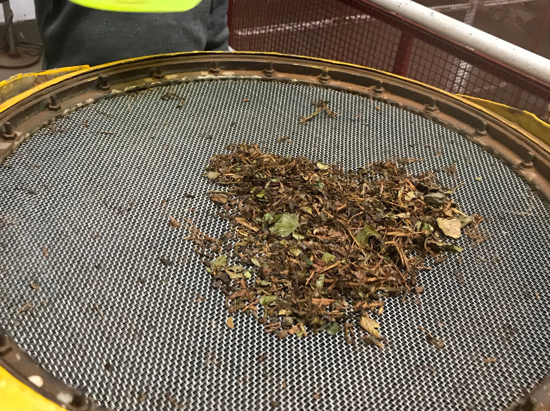 Kannan Devan Tea Museum景点图片