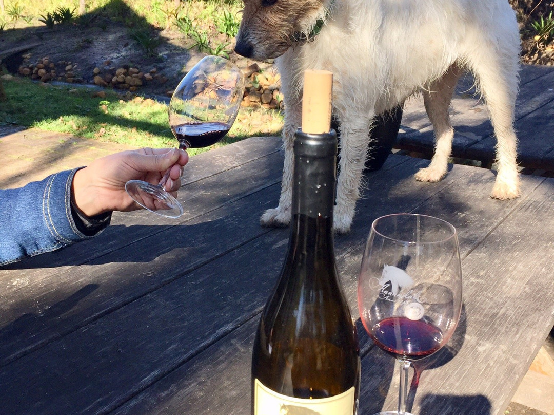 Annandale Wine Estate-斯泰伦博斯必去景点