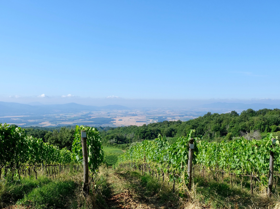 Valdonica Winery & Vineyard Residence主图