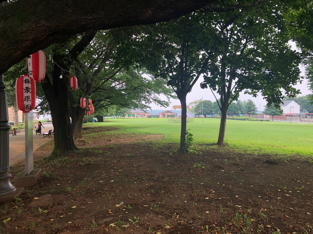 Iruma City Museum Alit-入间市必去景点