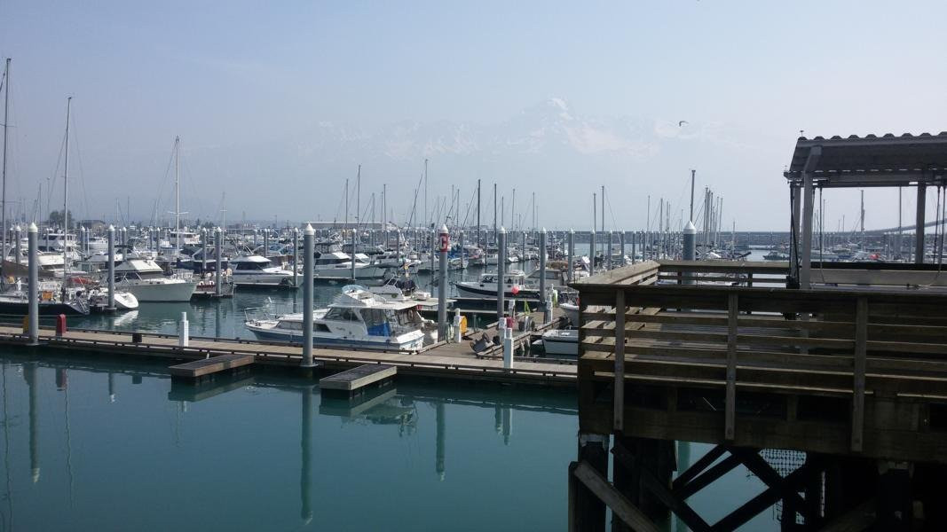 Seward Boat Harbor景点图片