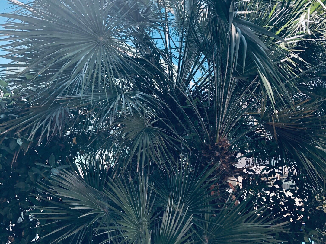 Ufficio Informazioni e Accoglienza Turistica-Valverde必去景点