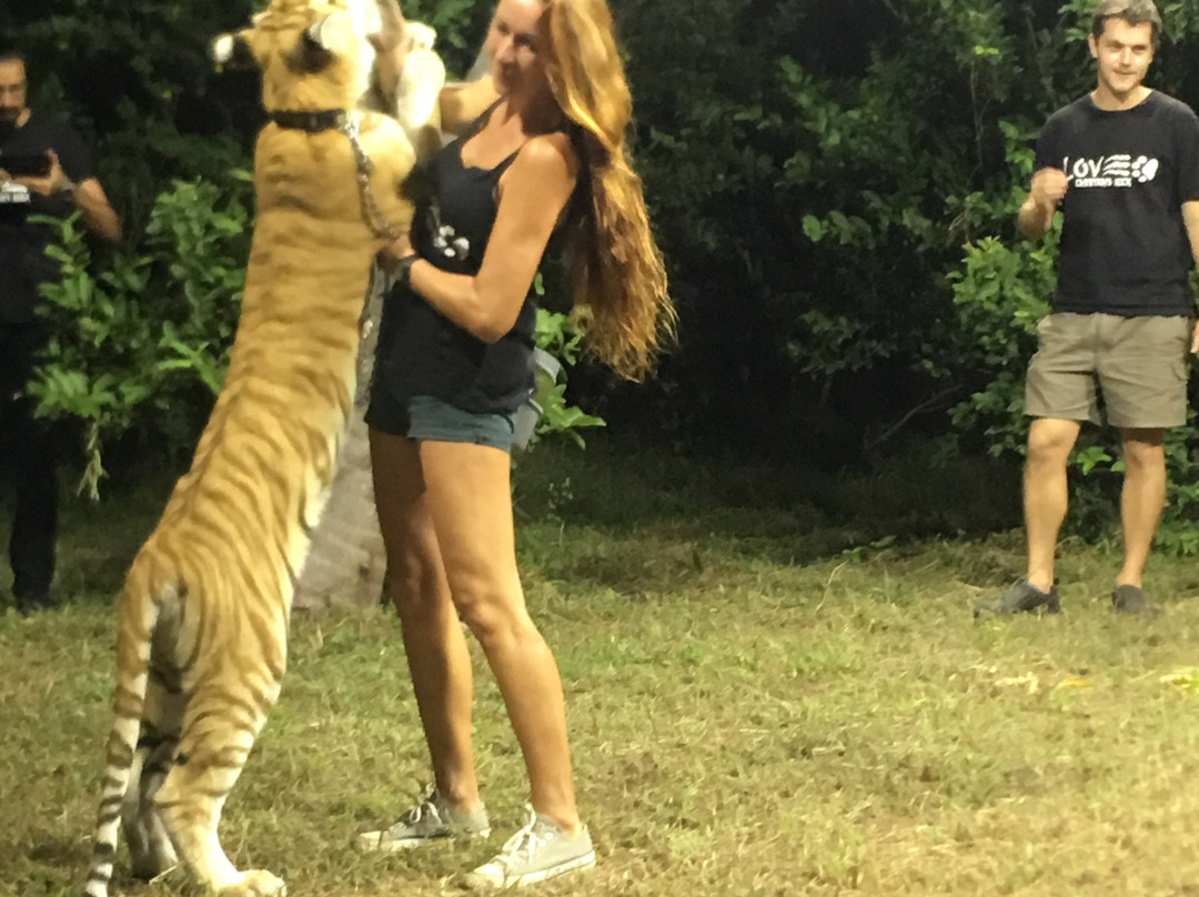 猎豹动物园-桑给巴尔岛必去景点