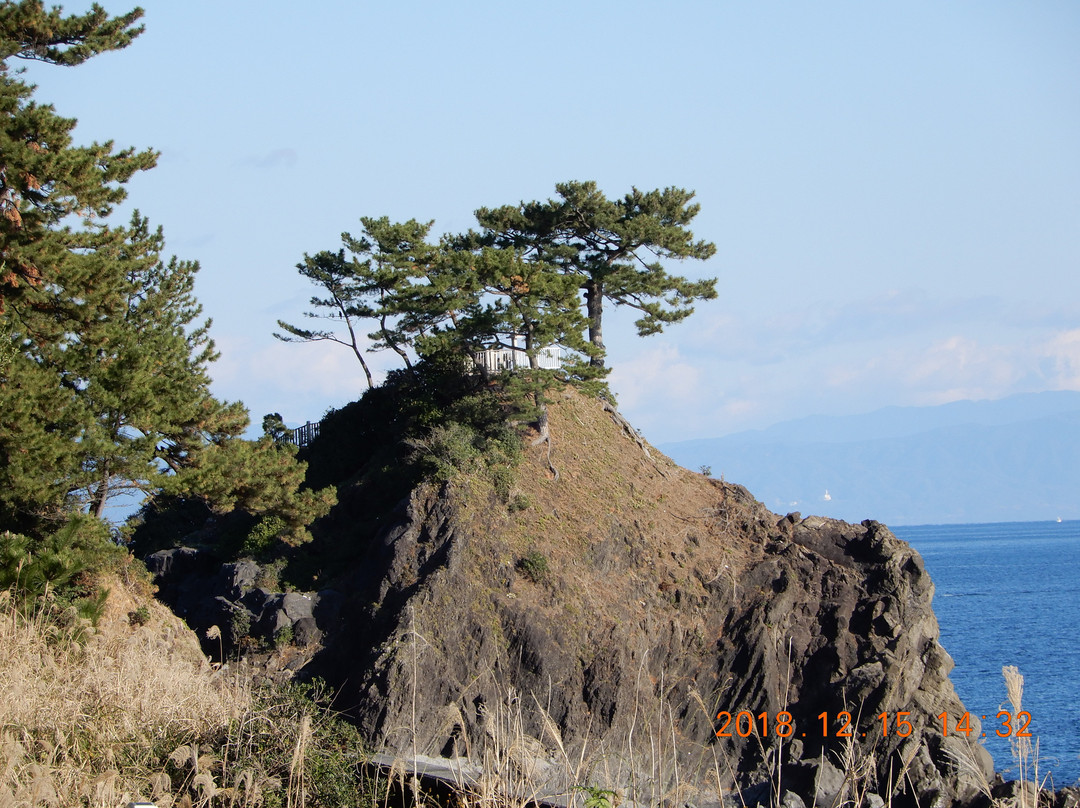 Katsurahama Ryuogu Shrine景点图片