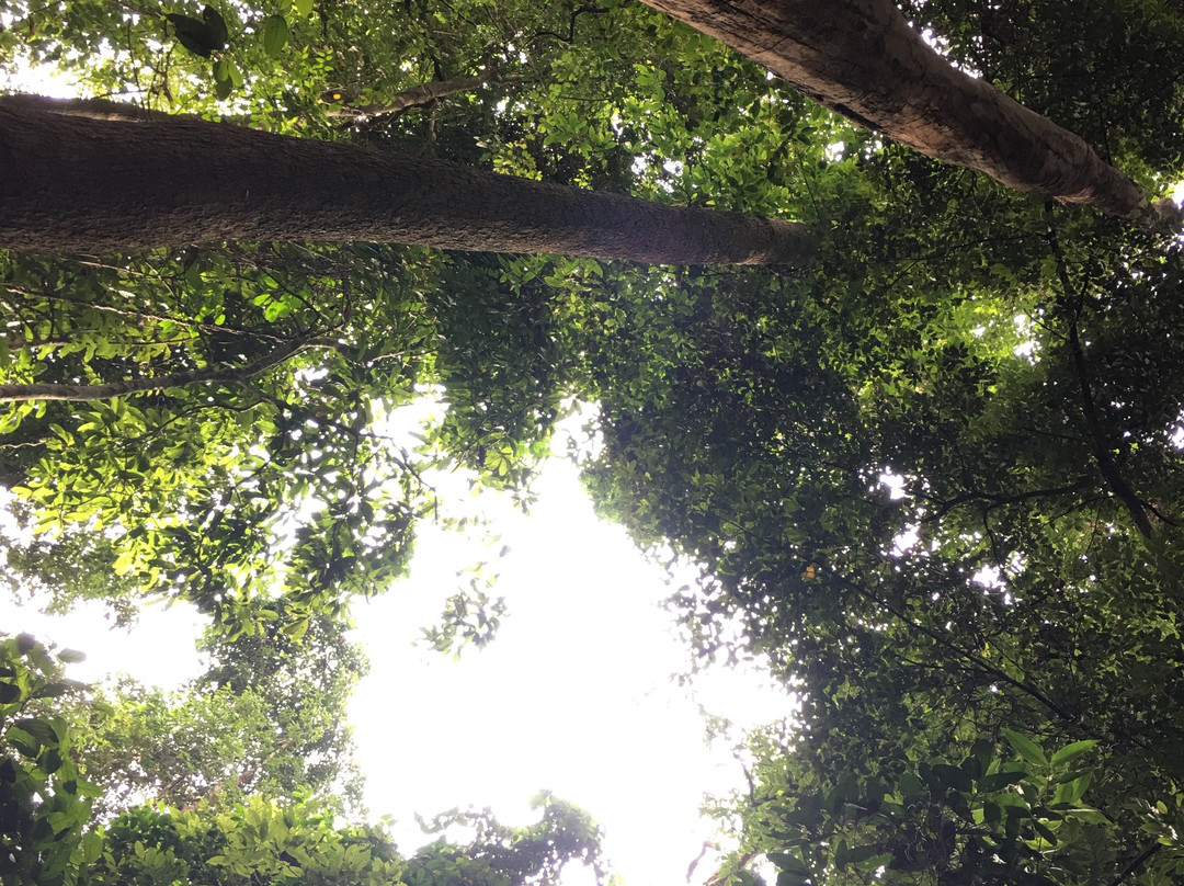 Mon Da than Waterfall-清迈必去景点