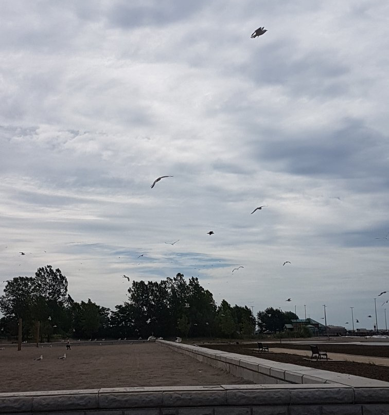 Seacliff Park-利明顿必去景点