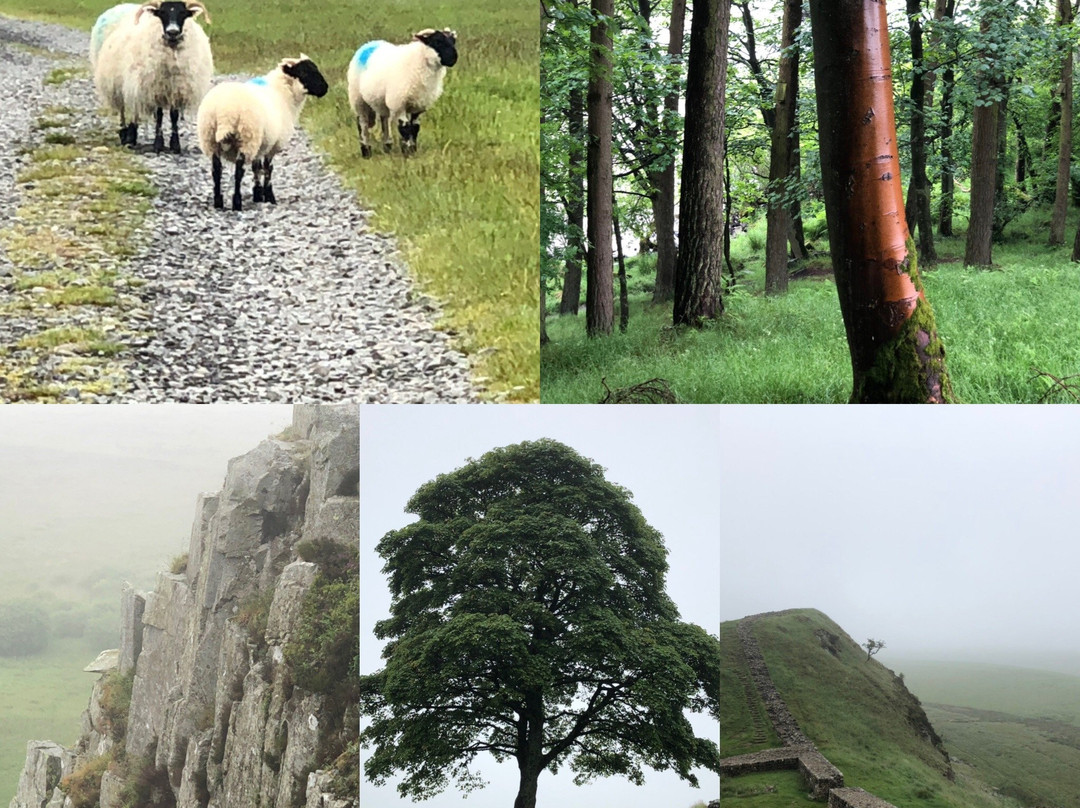 Big Round World-Lyons必去景点