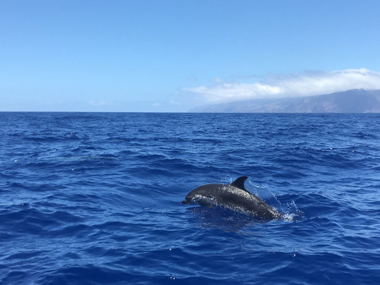 Oceansee-沙尔必去景点
