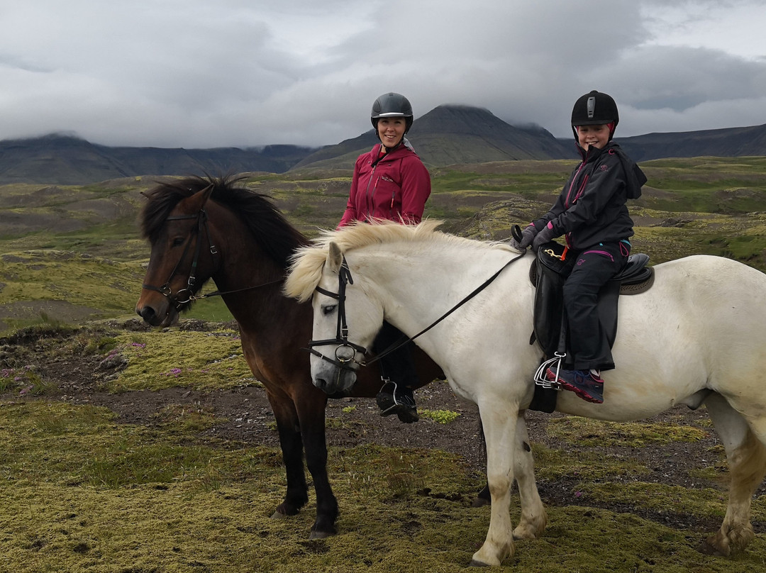 Hradastadir Horse Riding & Farm-莫斯费德斯拜尔必去景点