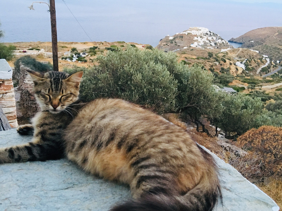 风车碧涛花园大酒店主图