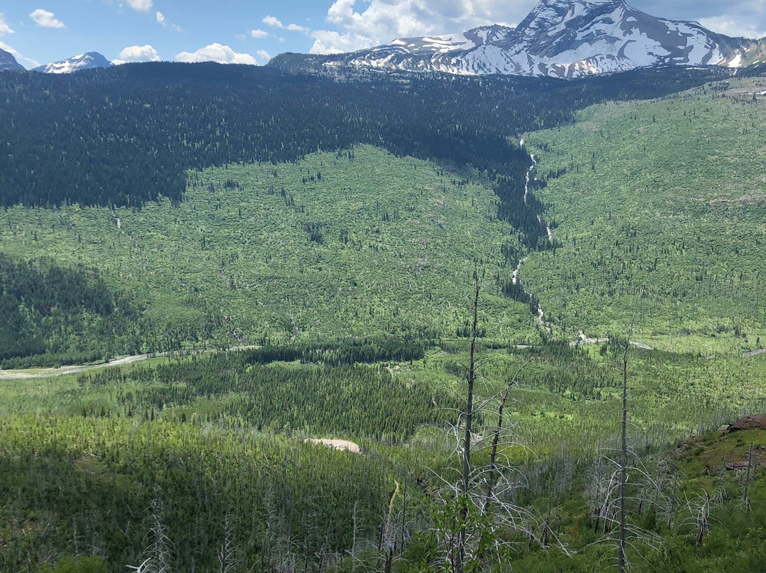 Granite Park Trail景点图片
