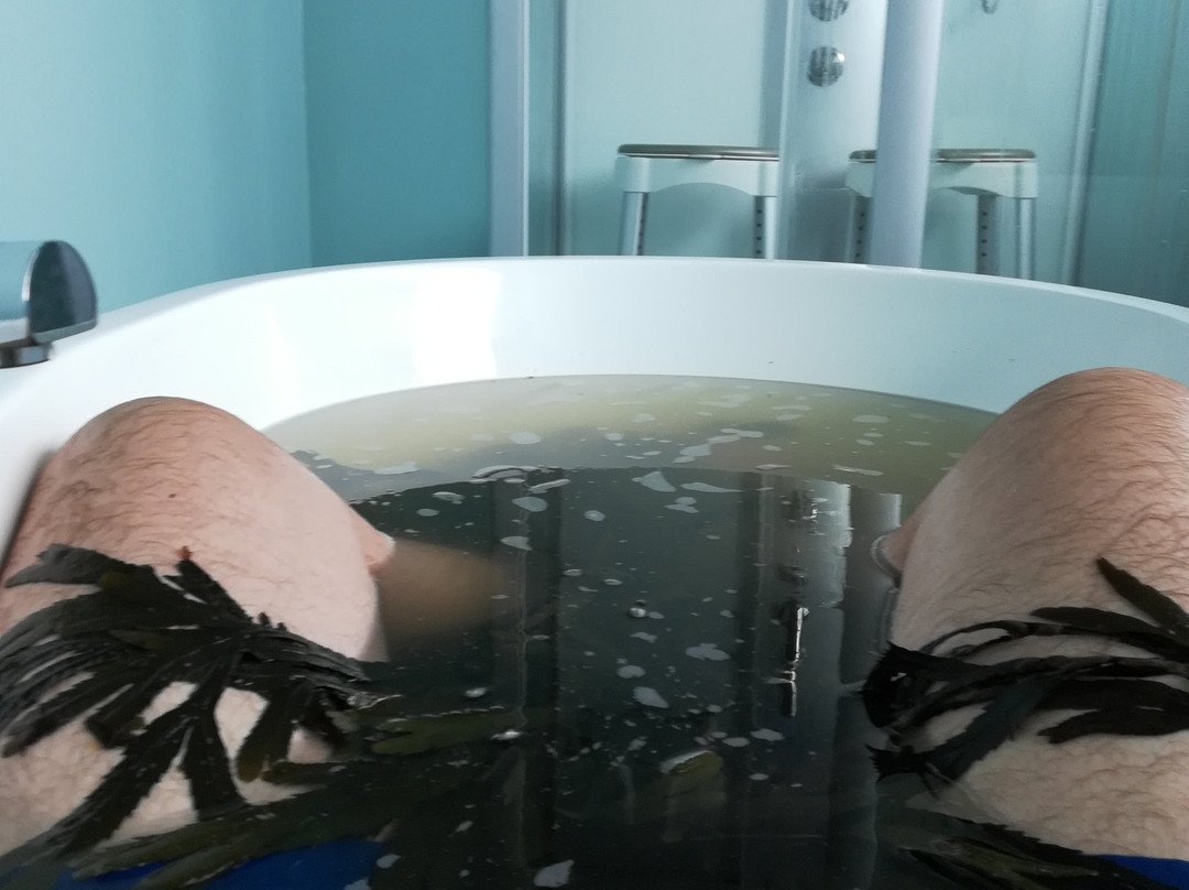 Sea Haven Therapy景点图片