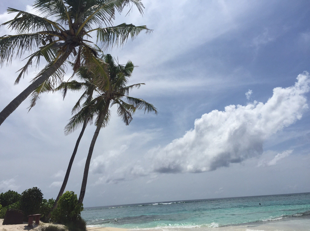 Fulidhoo Ihaa Lodge主图