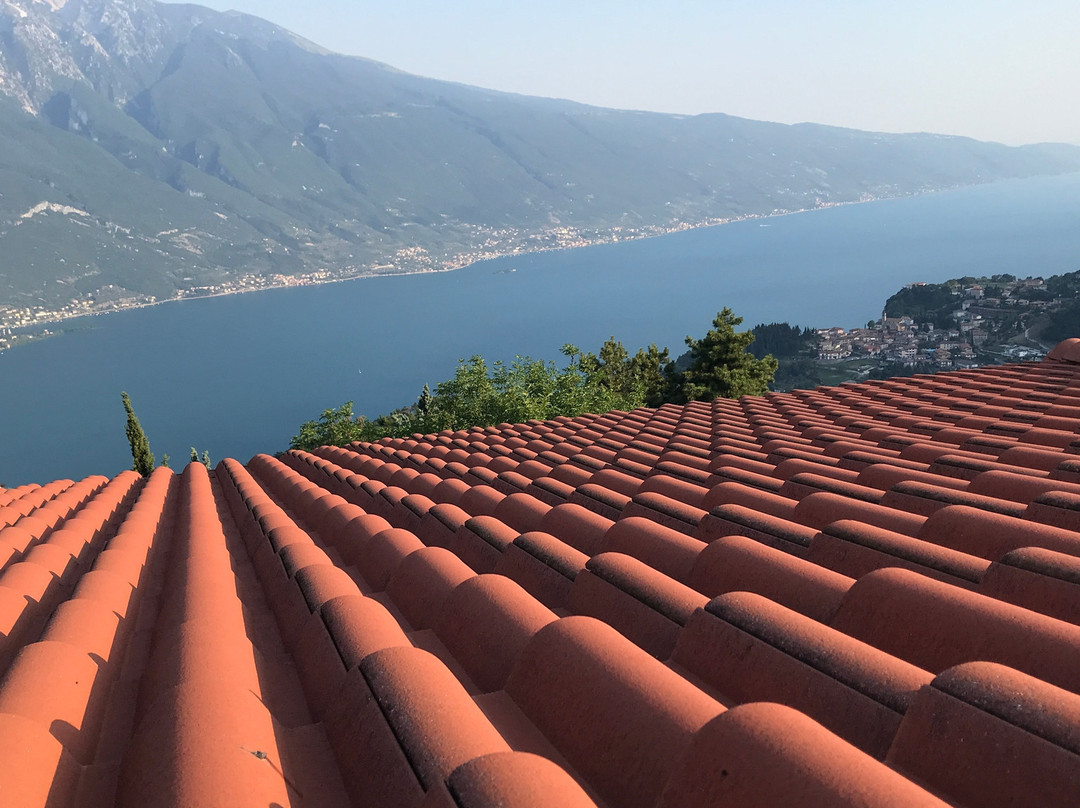 Hotel Pineta Campi主图