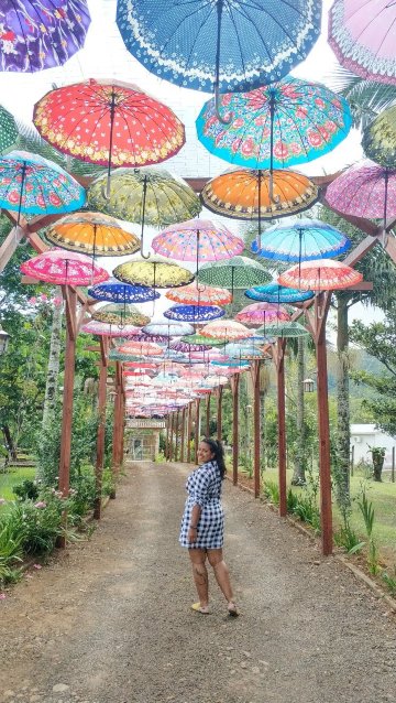 Pousada Vo Liane-官方