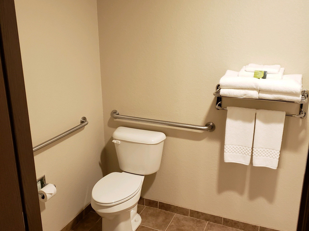 Cobblestone Inn & Suites - Manning主图