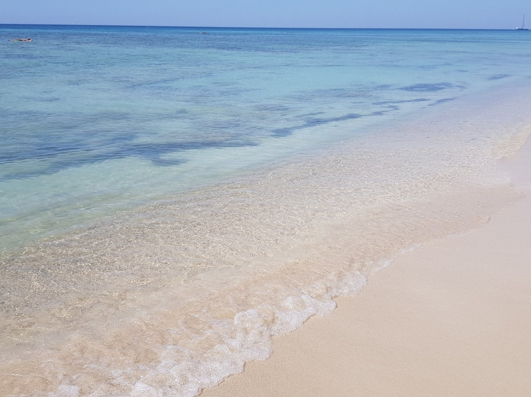 Agriturismo Specchiarussa主图