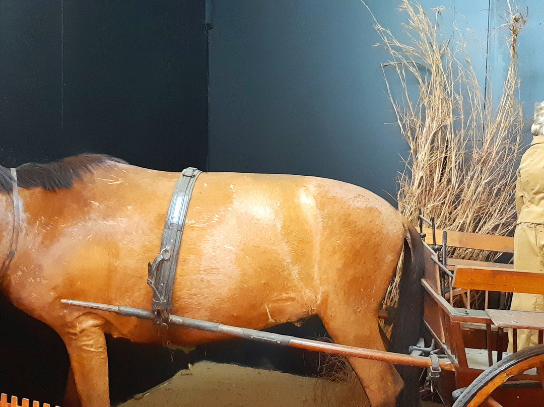 uMsunduzi Museum-彼得马里茨堡必去景点