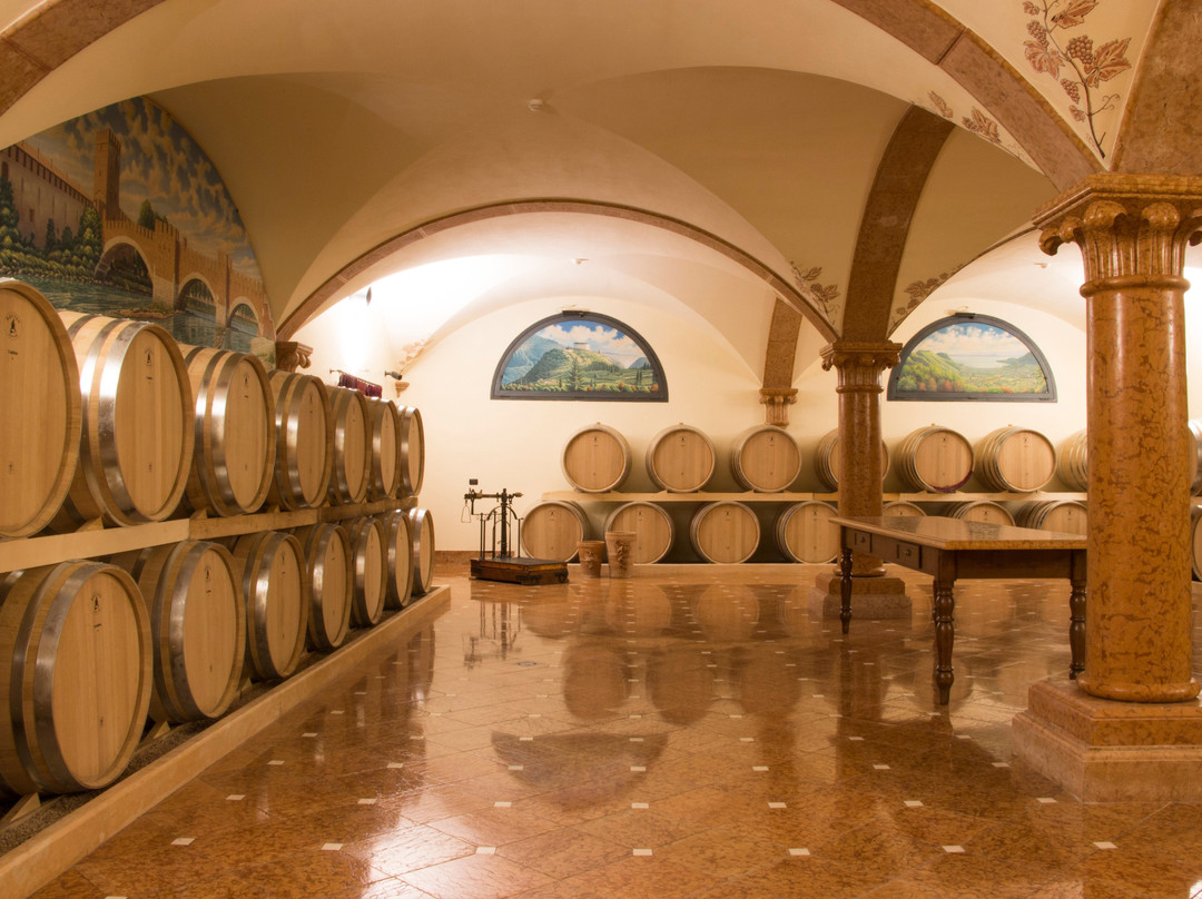 Monte Zovo Azienda Agricola景点图片