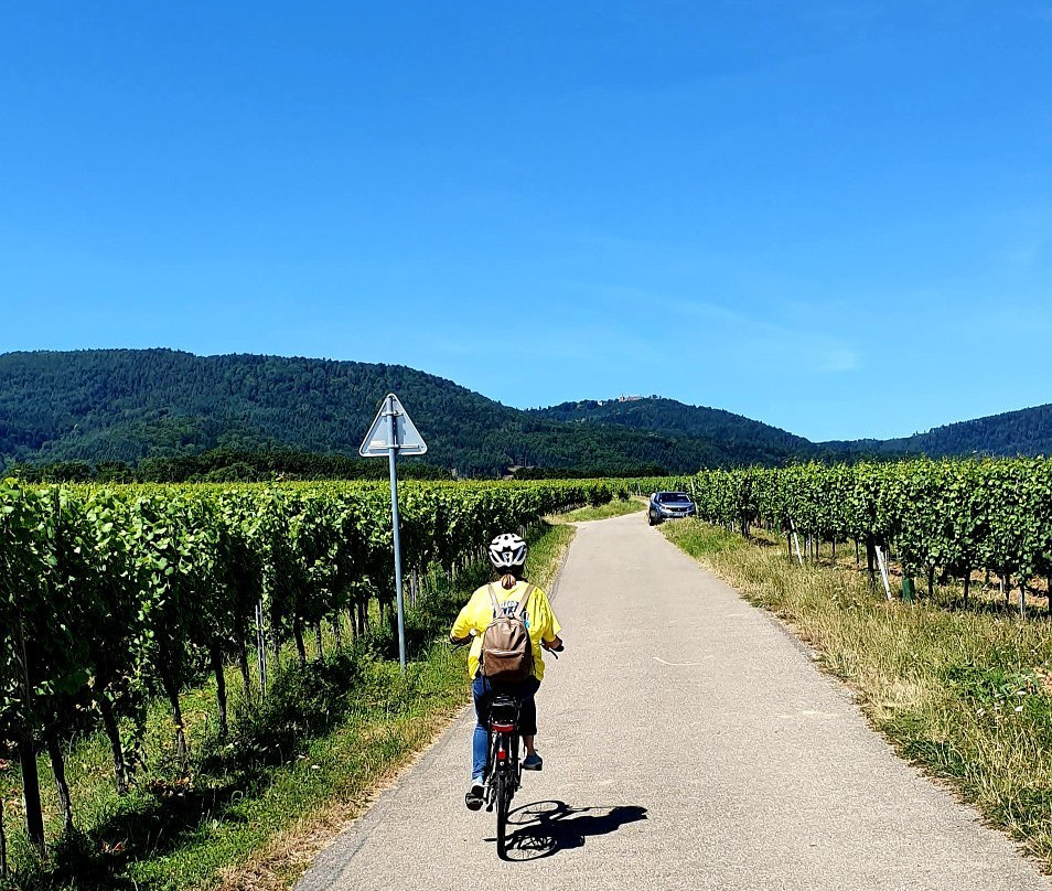 Cycl'Hop-奥贝奈必去景点
