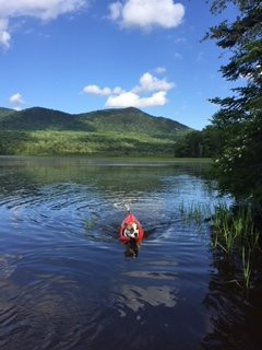 The Paw House Inn主图