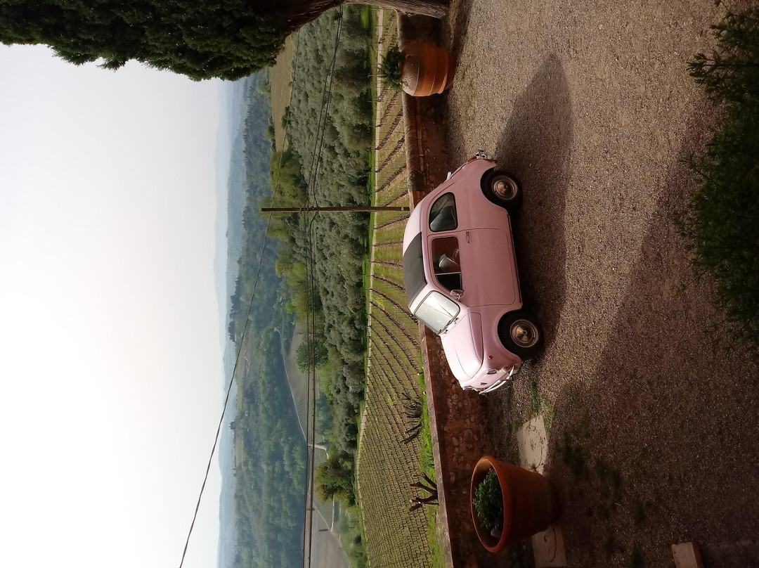 Fattoria di Fiano, Ugo Bing-Marcialla必去景点