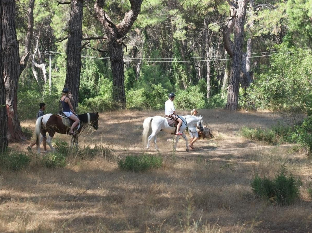 Horse Riding Tour in Kazbegi-Stepantsminda必去景点