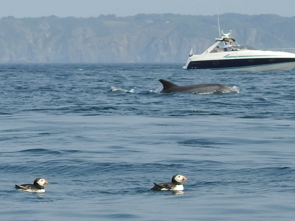 Outdoor Guernsey Shell Beach Kayak Tours-Herm必去景点