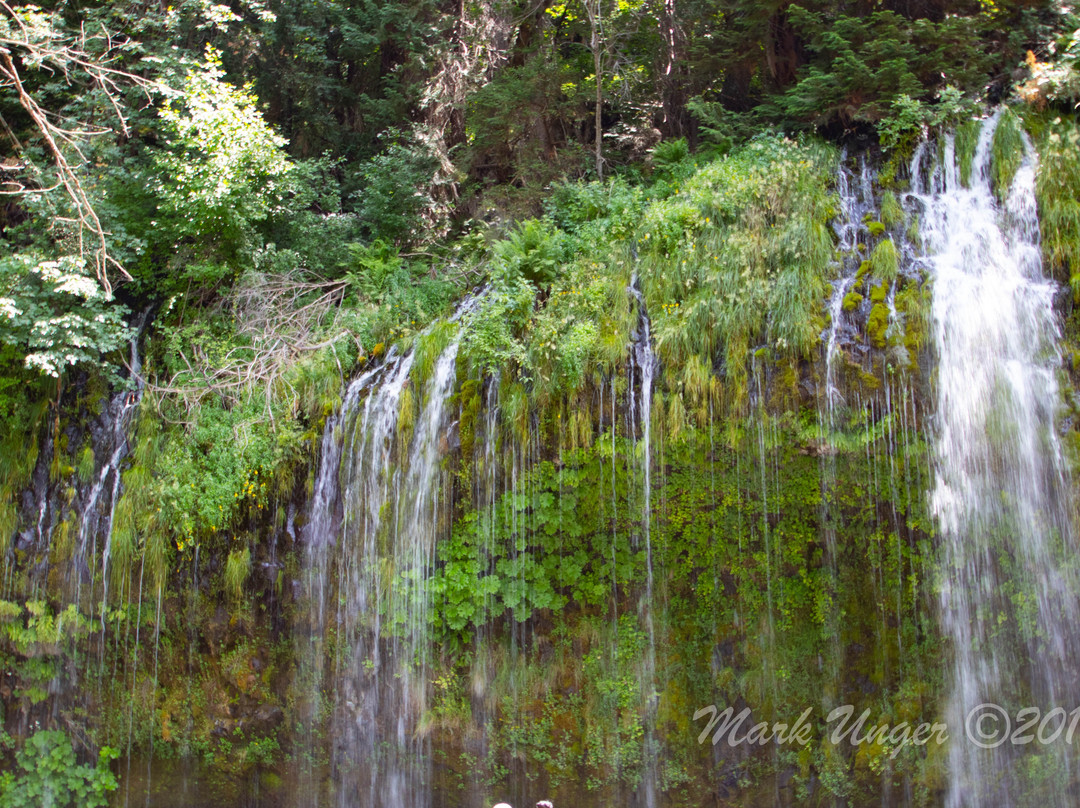 Mossbrae Falls景点图片