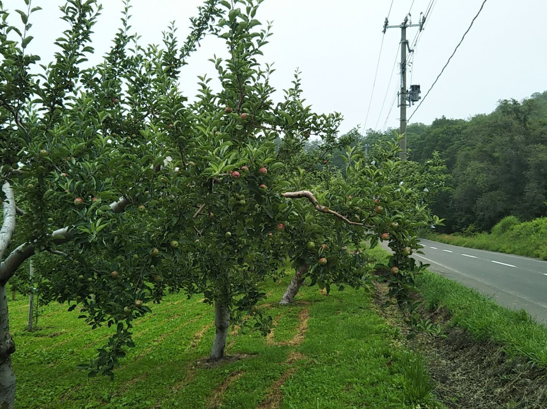 苹果路-弘前市必去景点